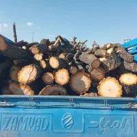 خرید درخت تر وخشک سقفی