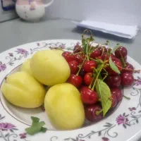 باغ با درختان میوه