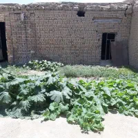 فروش خانه و ویلا