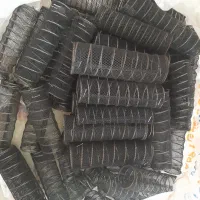 بیگودی مو