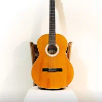 گیتار کلاسیک استار (۵/۰۰۰/۰۰۰ تومان تخفیف)