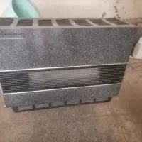 بخاری بزرگ و سلام به ضمانت
