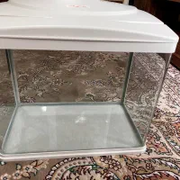 آکواریوم برند ماهیران