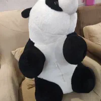 خرس پاندا