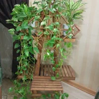 پایه گل و گل