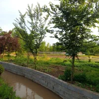 زمین مسکونی ۵۲۰متری /کد آگهی پستچی