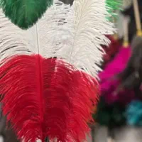 پر شتر مرغ با طرح پرچم ایران