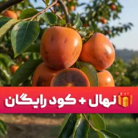 خرید نهال با هدیه ویژه و کود تقویتی ، شروع مطمئن