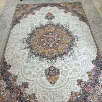 فرس ۹ متری درحد