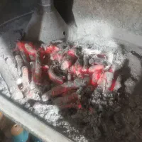 شاگرد قهوهخونه