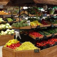 104 متر / بر فردوس شرق / تخلیه / مناسب تمام مشاغل