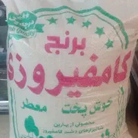 انواع برنح ایرانی از ۲۰۰۰ میلیون