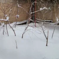 مسکونی ویلای
