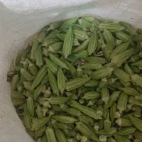 بامیه درجه۱