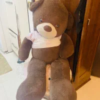 عروسک خرس شاسخین