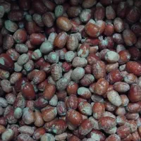 سنجد|خوردنی و آشامیدنی|قائن, |دیوار