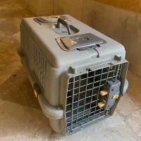 باکس گربه رها