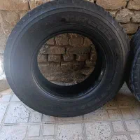 لاستیک تیوبلس