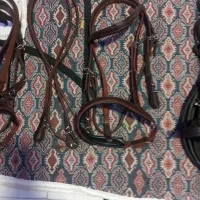 کلگی و دستجلو