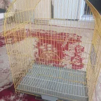 قفس پرنده