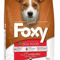 غذا خشک سگ پت فاکسی فوکسی foxy