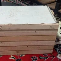 لونه پرنده سالم