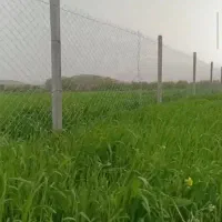 باغچه-هزار-متری-گردو-و-انواع-میوه