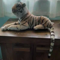 عرسک ببر صدا دار
