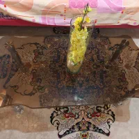میز جلو مبلی