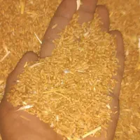 گندم ریزدونه مرغی  ۳۵