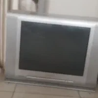 تلویزیون