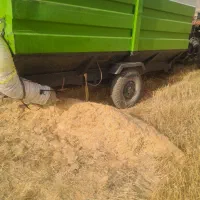 کاه کیش