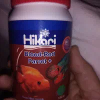 غذای ماهی هیلکاری. گوشتخوار