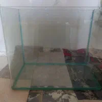 اکواریوم شیشه خم