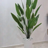 درختچه مصنوعی پرنده بهشتی ۳۰ برگ