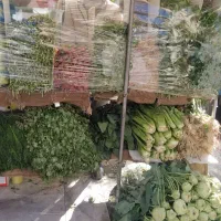 اجاره سبزی فروشی