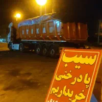 خرید سیب پادرختی بالاترین قیمت