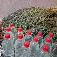 عرق بادرشبی و نعنا