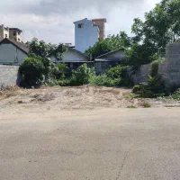 فروش یک قطعه زمین در گلسرخی
