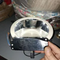 پرژکتور سقفی،ریلی وباغ