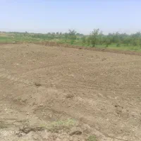 فروش-باغچه-برق-دار