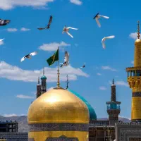 زیارت امام رئوف، اتوبوس