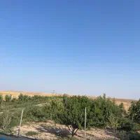 استخدام باغبان