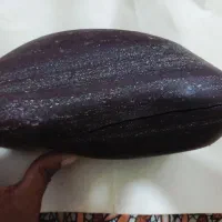 یه عدد سنگ جذاب رنگی دیدنی داخلش هم دیدنیه داره
