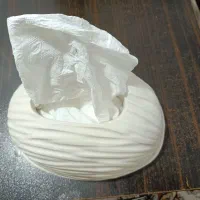 جای دستمال کاغذی