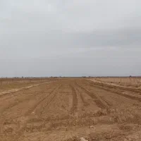 زمین-باغی-در-شهرستانک