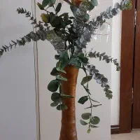 گلدان کنار سالنی