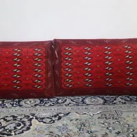 پشتی سالم