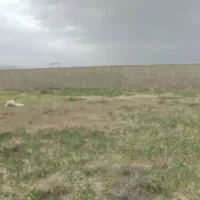شهرک زعفرانیه
