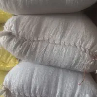 چلتوک چمپا لوداب